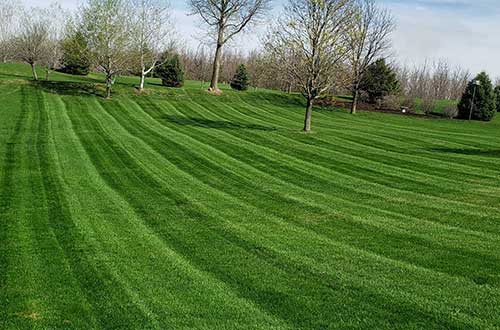 Freshly maintained home lawn in Denison, IA.